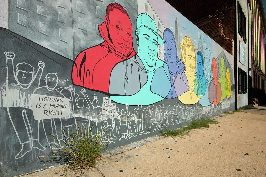 Street Art at Washington D.C. - Rose Jaffe 3 Photograph by Riccardo Forte