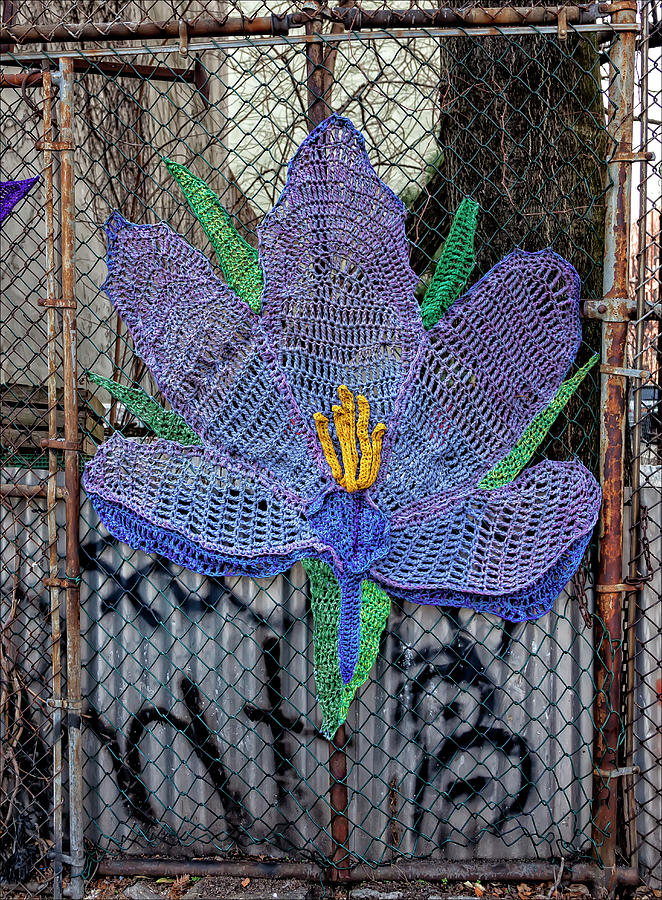 Street Art Flower on Fence Photograph by Robert Ullmann