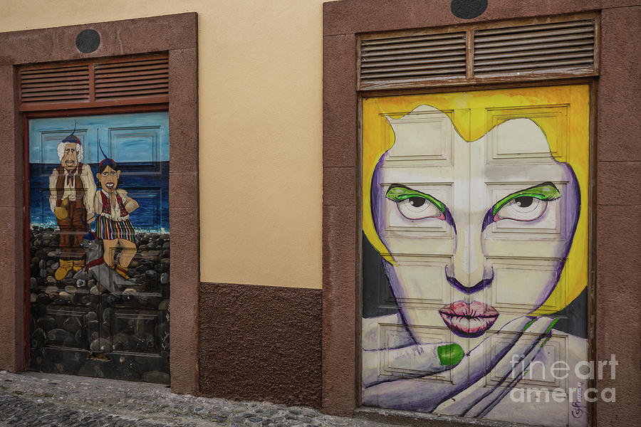 Street Art in Funchal-2 Photograph by Eva Lechner