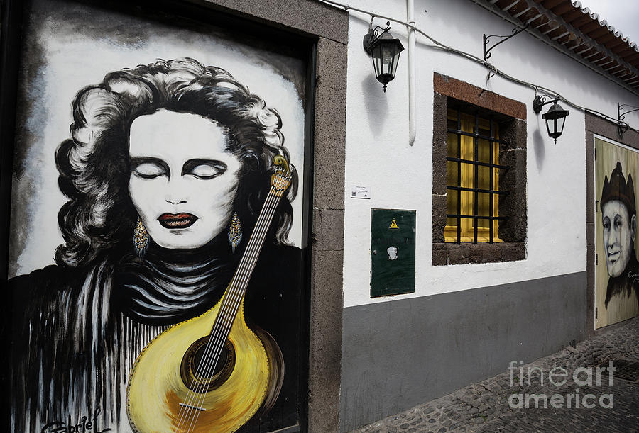 Street Art in Funchal Photograph by Eva Lechner