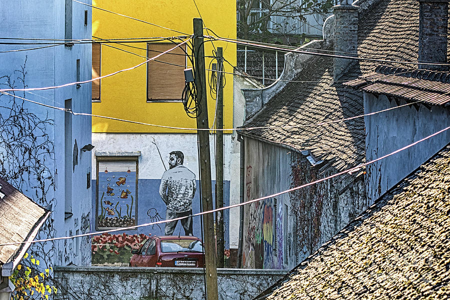 Street art in Novi Sad - Angler Photograph by Jivko Nakev