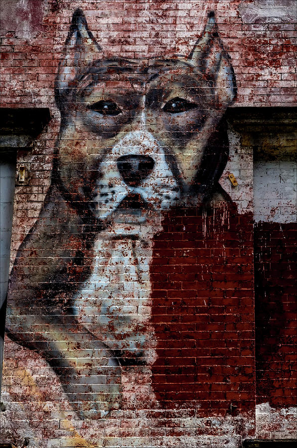 Street Art NYC - Dog Photograph by Robert Ullmann
