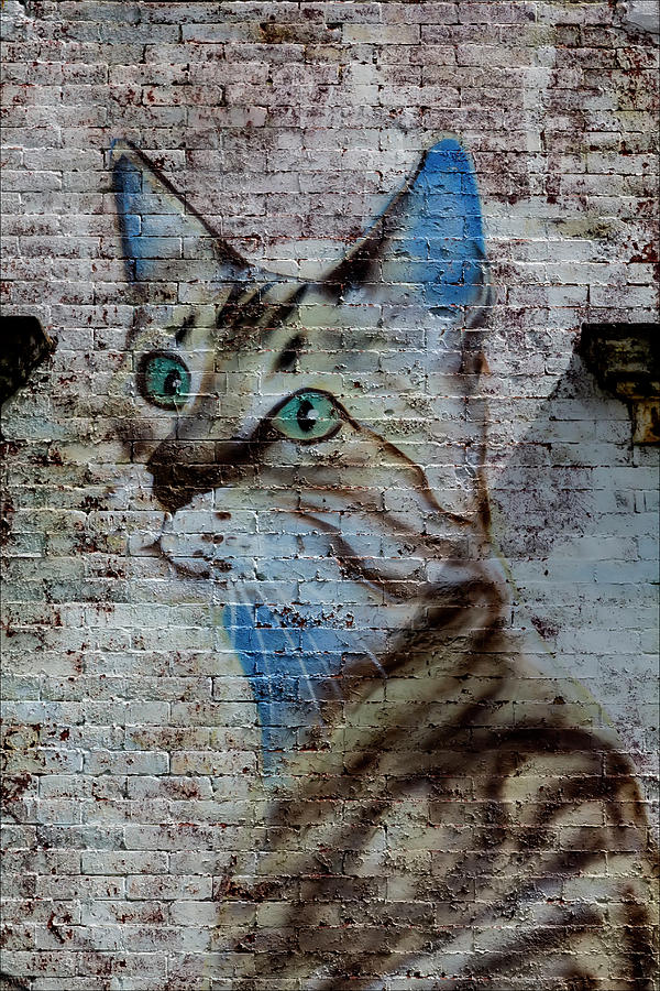 Street Art NYC Painting of Cat Photograph by Robert Ullmann