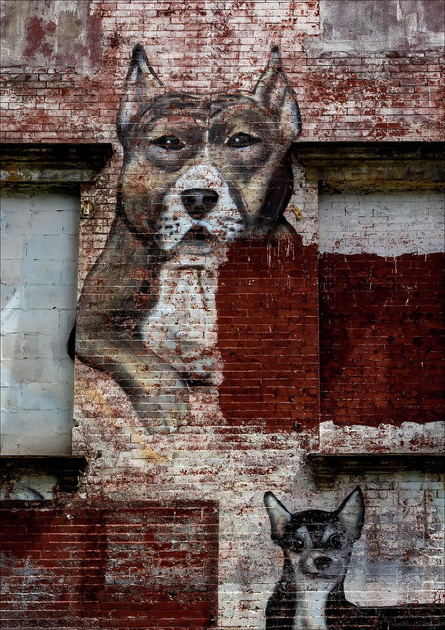 Street Art NYC Painting of Dogs Photograph by Robert Ullmann