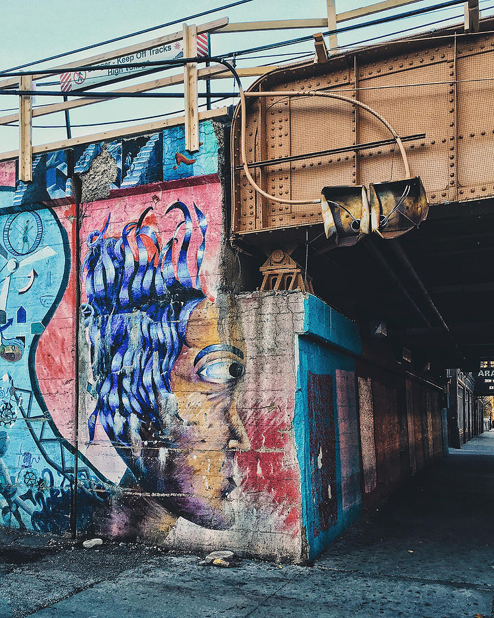 Chicago Photograph - Street Art On CTA Line Bridge In Chicago by Dylan Murphy