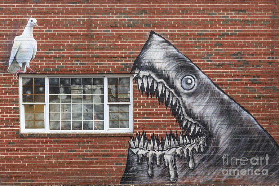 Street Art Portsmouth New Hampshire Photograph by Edward Fielding