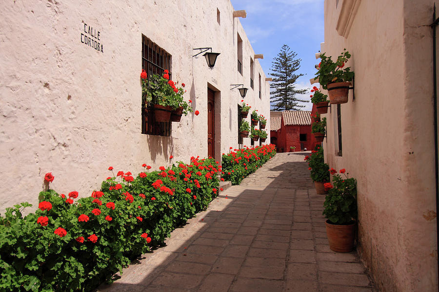 Street In Santa Catalina Monastery Photograph by Aidan Moran