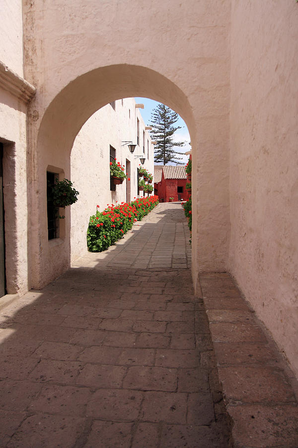 Street In Santa Catalina Monastery, Arequipa, Peru Photograph by Aidan Moran