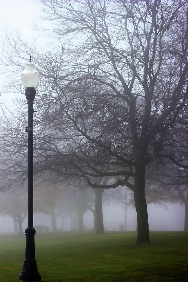 Street Lamp in Fog 1 Photograph by Mary Bedy