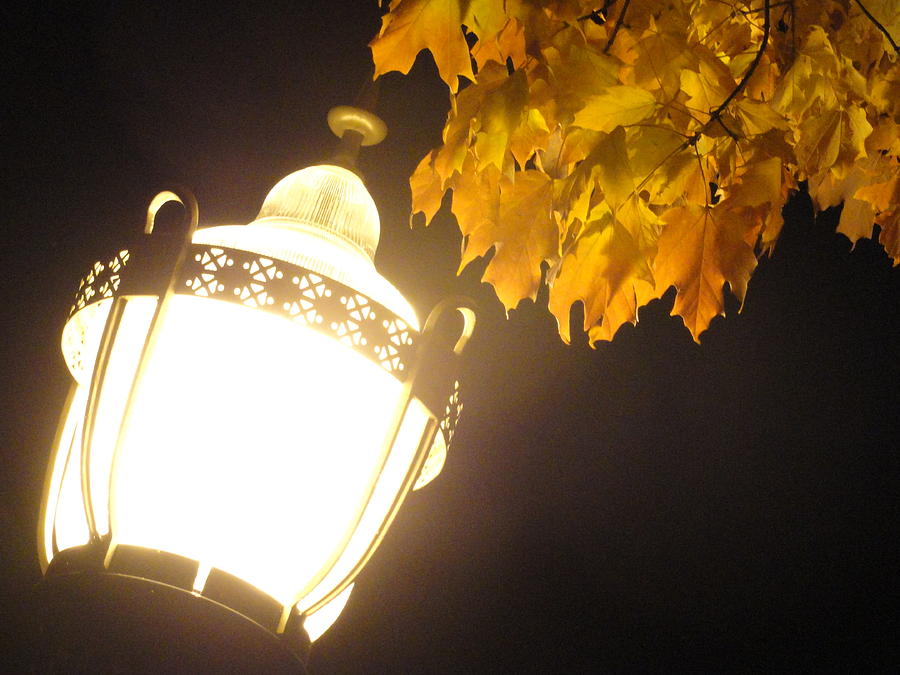 Street Lamp  Photograph by Trish Hale