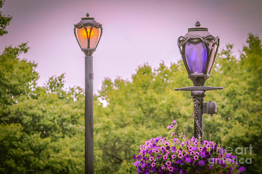 Vintage Photograph - Street lamps in the Niagara Falls park by Claudia M Photography