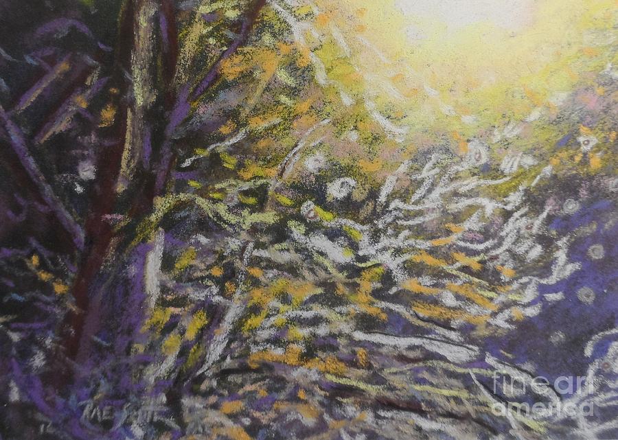 Street light in Snow Storm Pastel by Rae  Smith