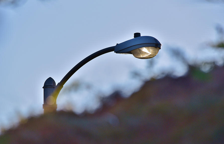 Street Light Peering Over Hillside IV Photograph by Linda Brody