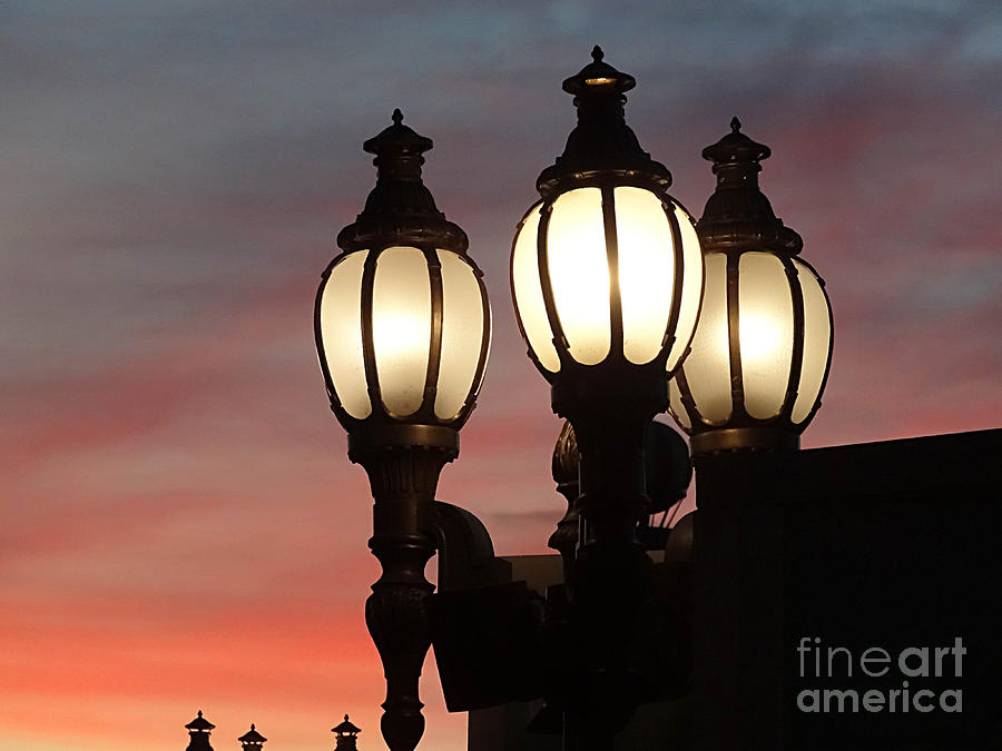 Street Lights at Sunset Photograph by Cindy Manero