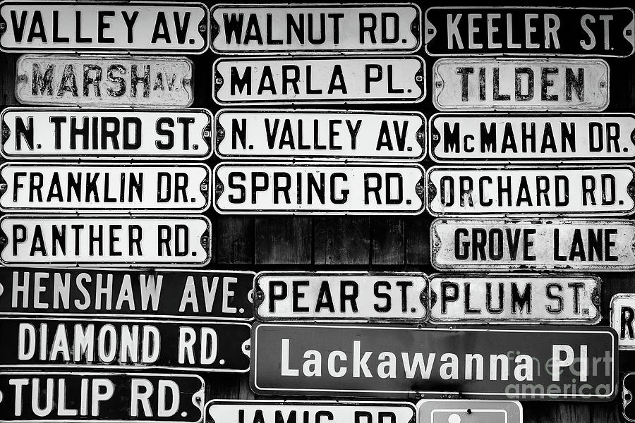 Street Names Photograph by Colleen Kammerer