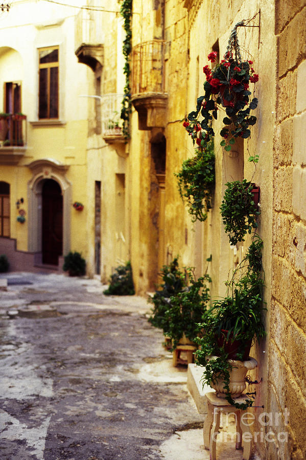 Street Scene Birgu Malta Photograph by Thomas R Fletcher
