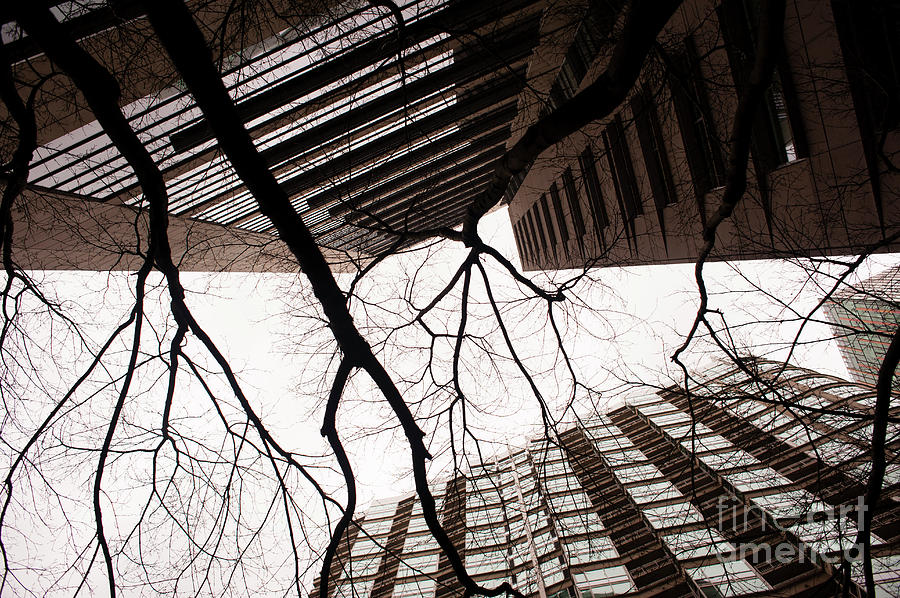 Street Scene with Bare Tree Limbs Photograph by Jim Corwin
