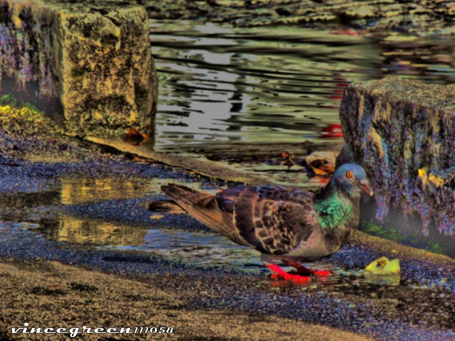 Street Walker Digital Art by Vincent Green Street Walker Digital Art by Vincent Green