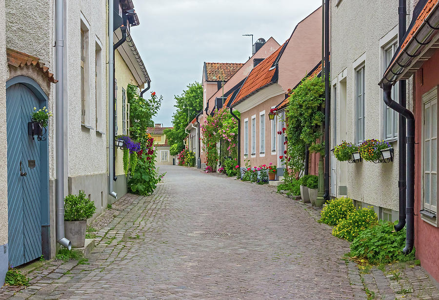 Rose Photograph - Street with old houses in a Swedish town Visby by GoodMood Art