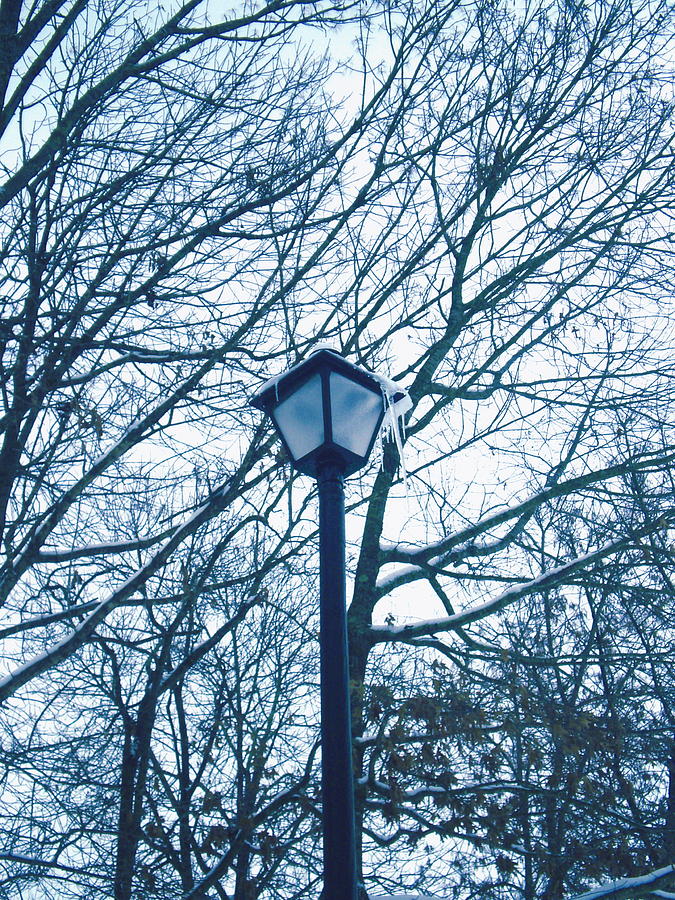 Winter Photograph - Streetlamp by Cat Rondeau