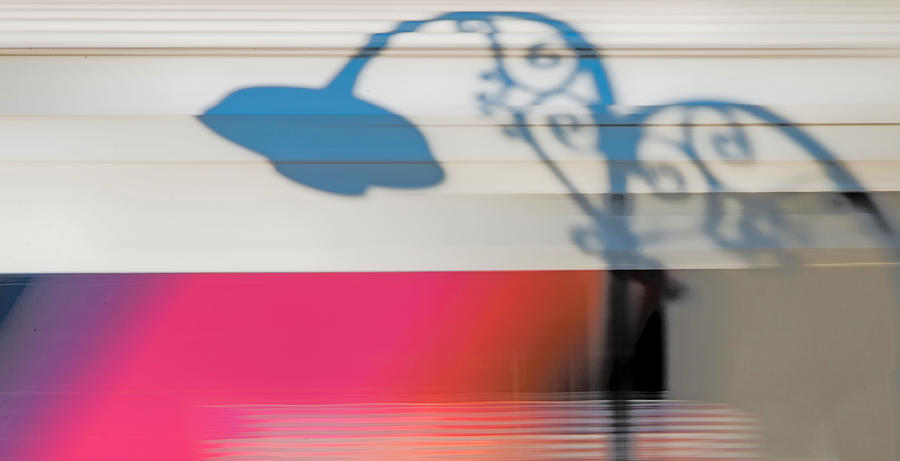 Streetlamp Shadow On Moving Train Photograph by Gary Slawsky
