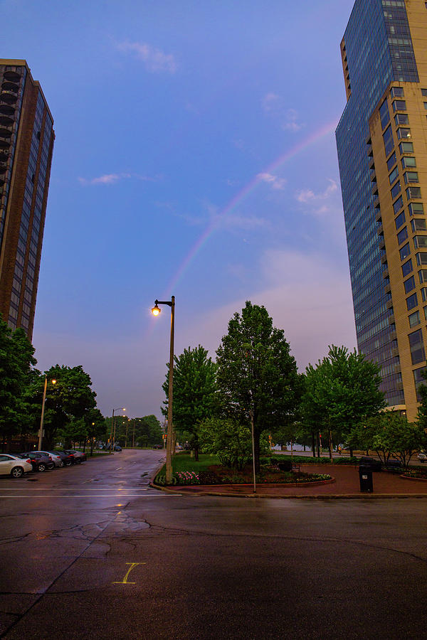 Streetlight Rainbow Photograph by Vincent Buckley