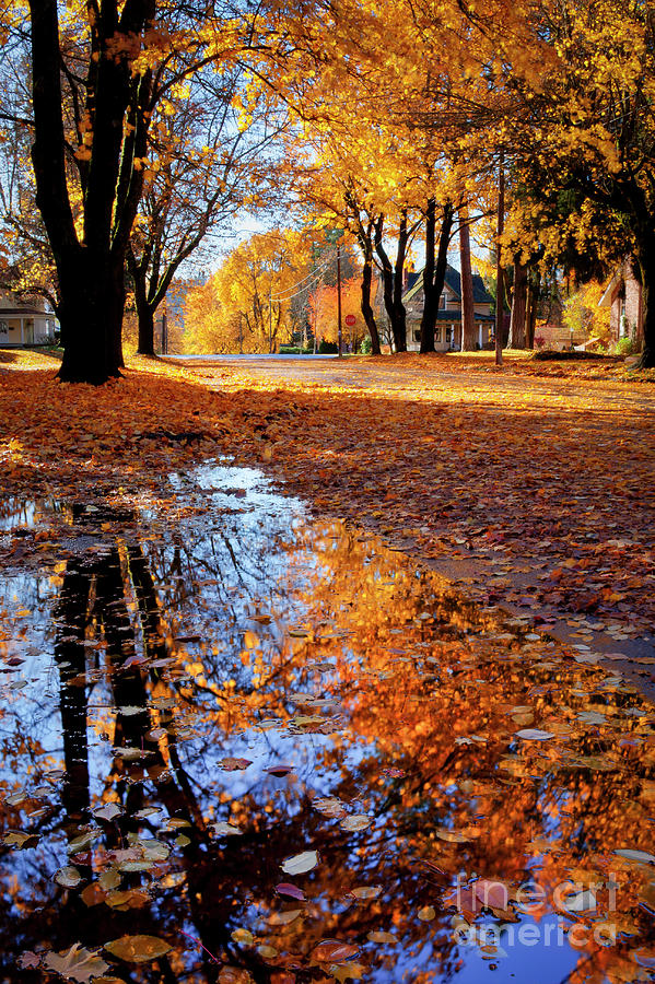 Streets of Autumn Photograph by Idaho Scenic Images Linda Lantzy