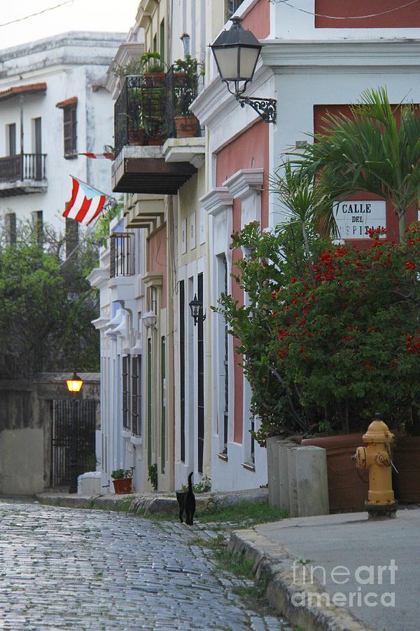 Streets of Old San Juan Photograph by Suzanne Oesterling