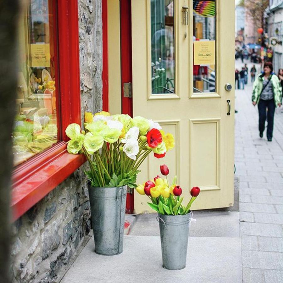 Spring Photograph - Streets Of Québec City! by Shivendra Singh
