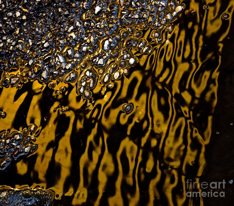 Streets Paved in Gold and Silver  Series 1 Photograph by Debra Banks