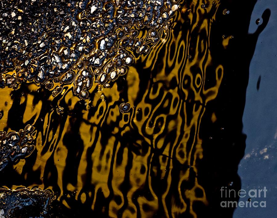 Streets Paved in Gold and Silver Series 2 Photograph by Debra Banks