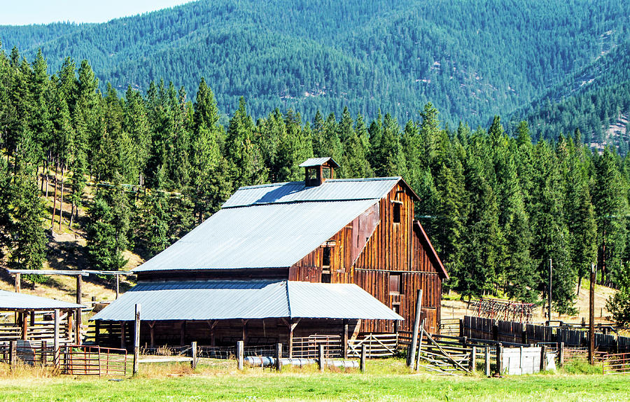 St.Regis, Montana Photograph by Mike Wheeler