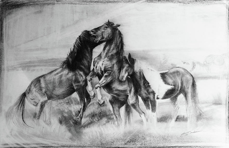 Mammal Drawing - Strength and Honour- Mustangs by Susie Gordon