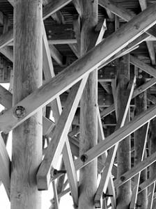 Strength Photograph - Strength In Numbers by Kate Bell Strength Photograph - Strength In Numbers by Kate Bell