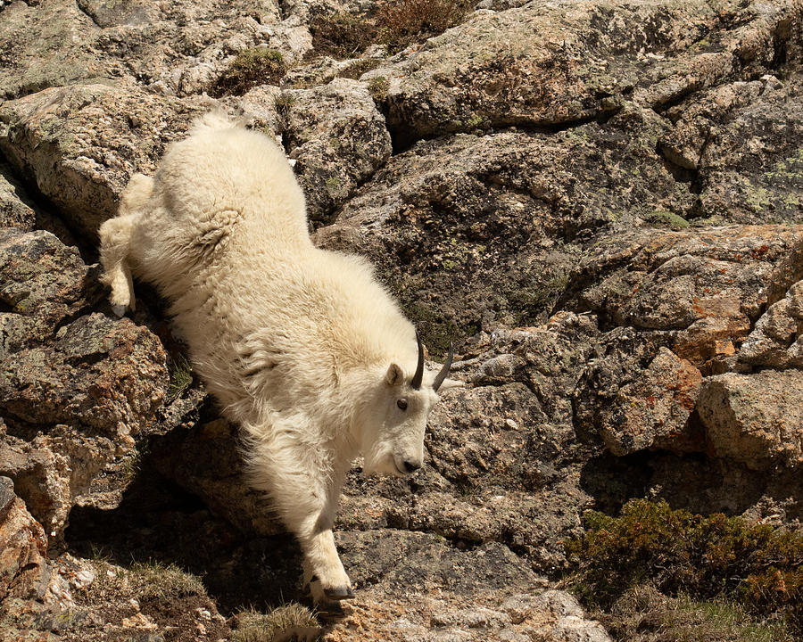 Stretch Photograph by Lois Lake - Fine Art America