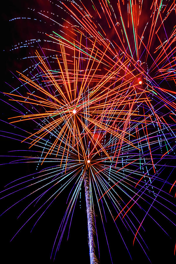 Independence Day Photograph - Striking Fireworks by Garry Gay