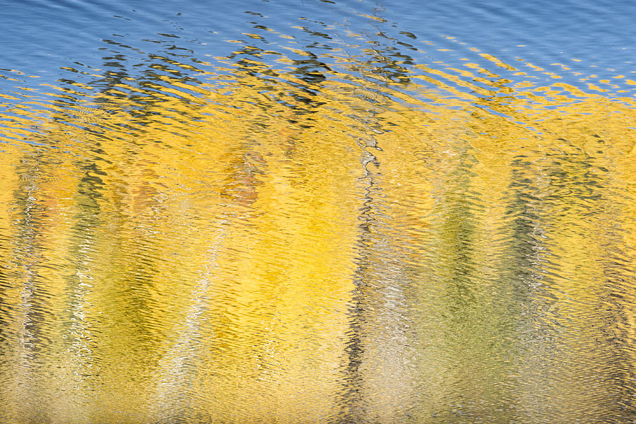 Striking Gold Photograph by Denise Bush Striking Gold Photograph by Denise Bush