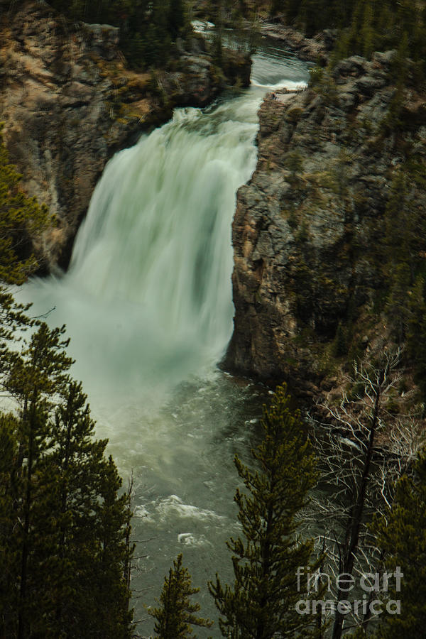 Striking Upper Falls Photograph by Robert Bales
