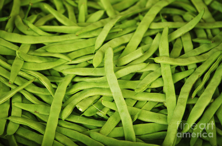 Vegetable Photograph - String Bean Heaven by Brandon Tabiolo - Printscapes