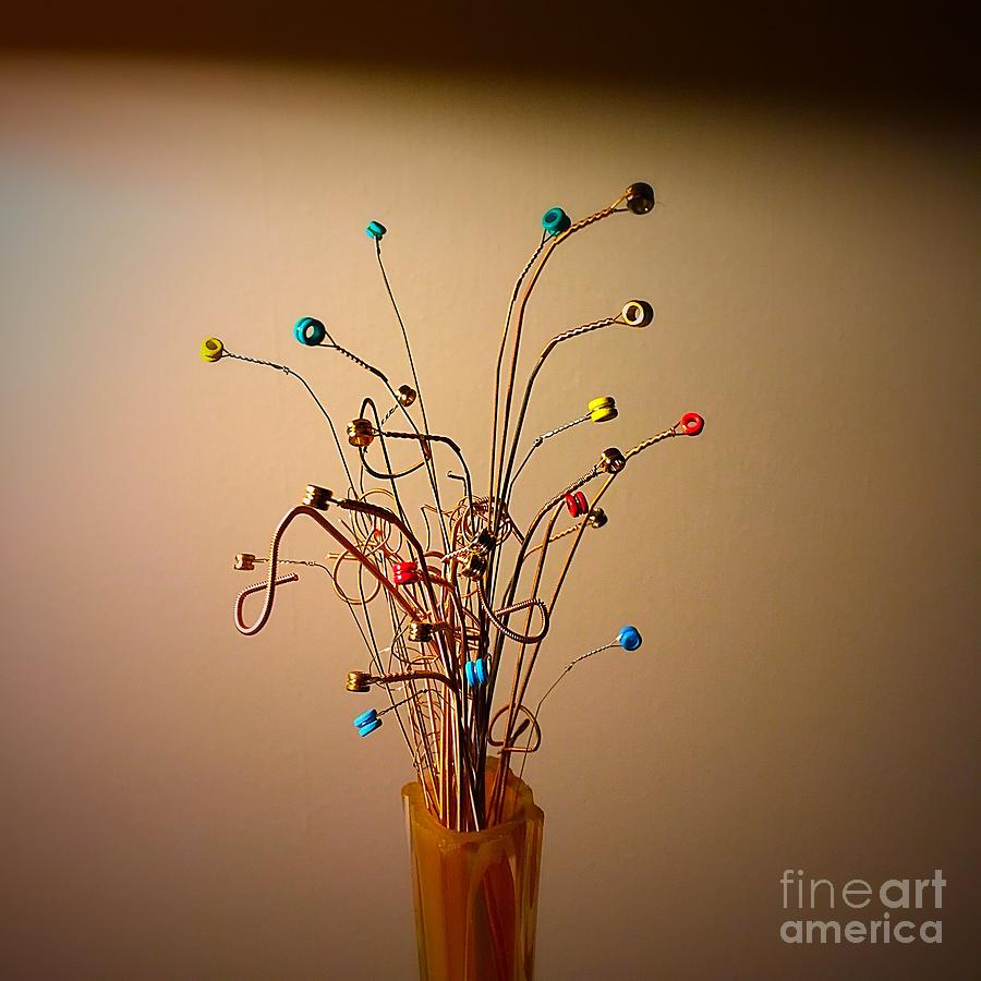 String Bouquet Photograph by Eddy Mann