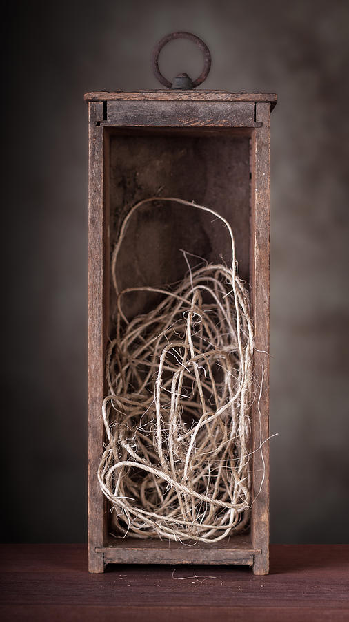 String Box Still Life Photograph by Tom Mc Nemar