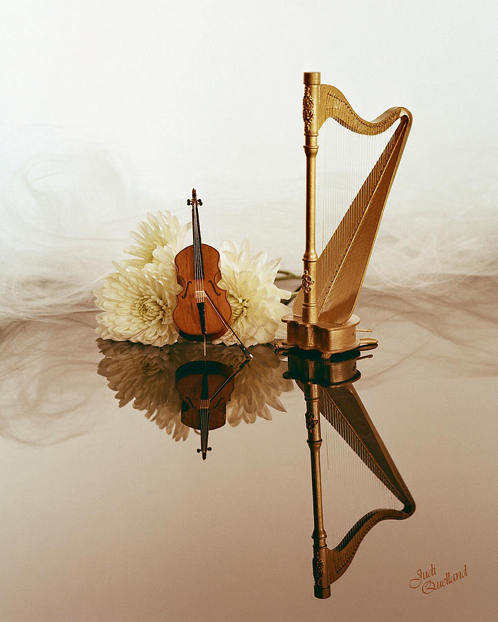 String Duet Photograph by Judi Quelland
