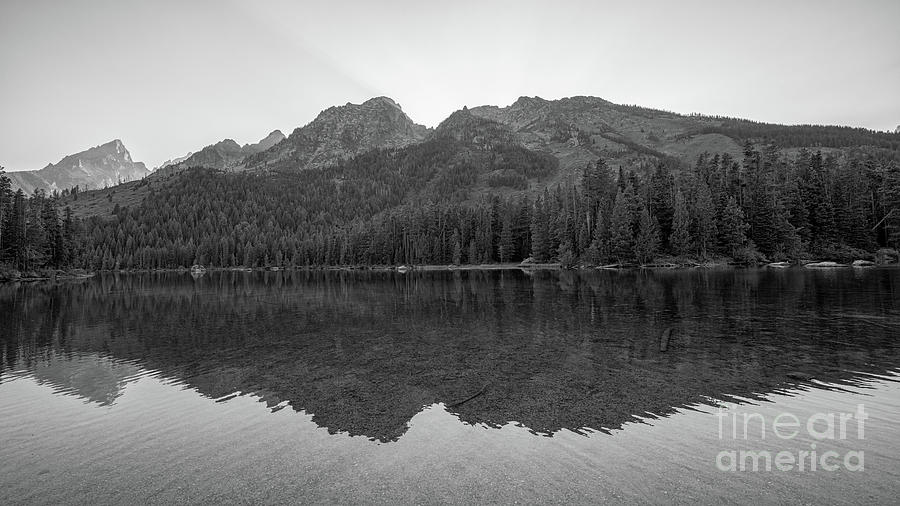 String Lake Reflections BW Photograph by Michael Ver Sprill