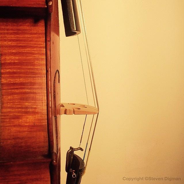 Violin Photograph - String Theory  by Steven Digman