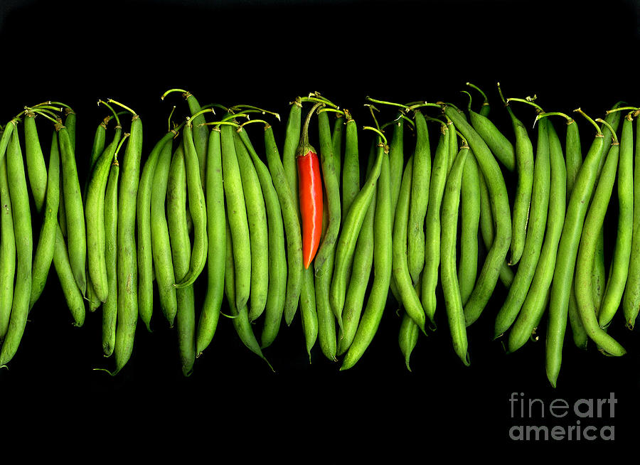 Stringbeans and Chilli by Christian Slanec Stringbeans and Chilli by Christian Slanec