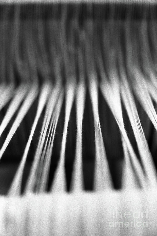 Strings in a loom Photograph by Gaspar Avila
