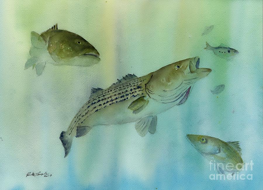 Striped Bass on the Feed Painting by Paul Temple