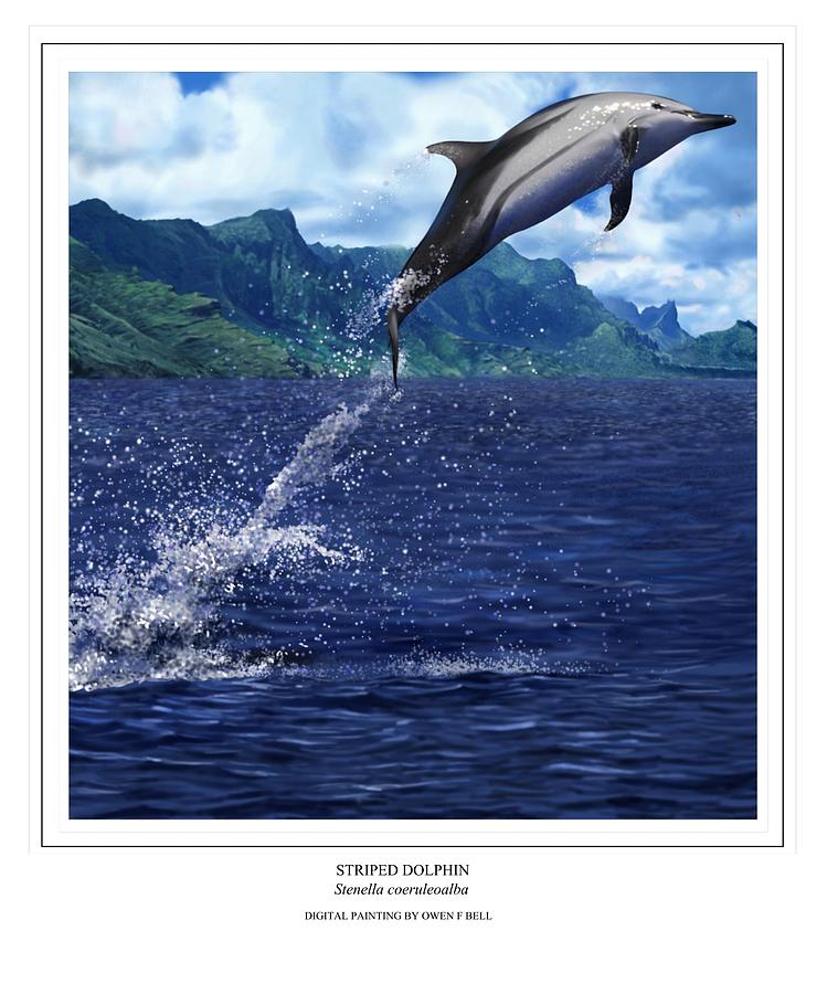 Striped Dolphin Digital Art by Owen Bell