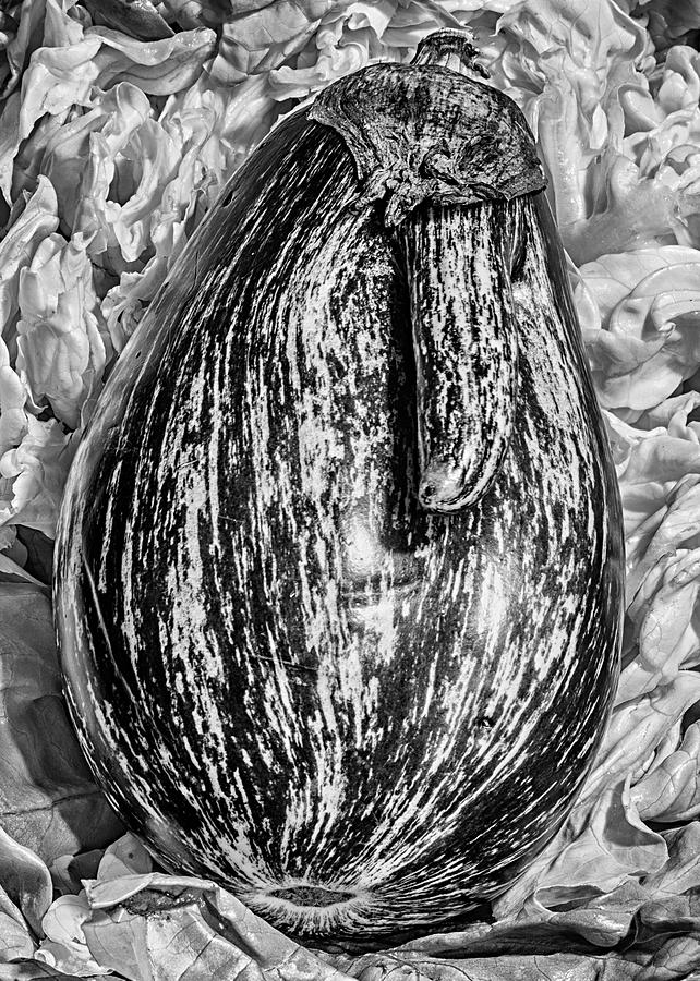 Striped Eggplant and Lettuce Photograph by Andrew Wohl