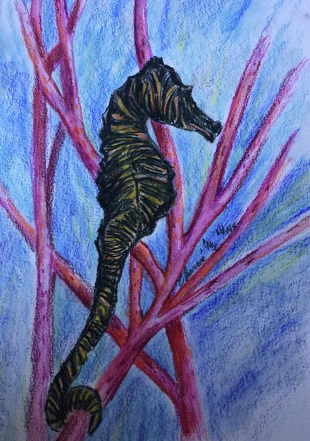Striped Seahorse Drawing by Charme Curtin